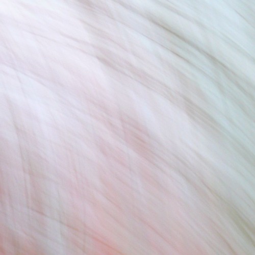 250128 - Jamuary-28 - On And On And On And On And On...and on...