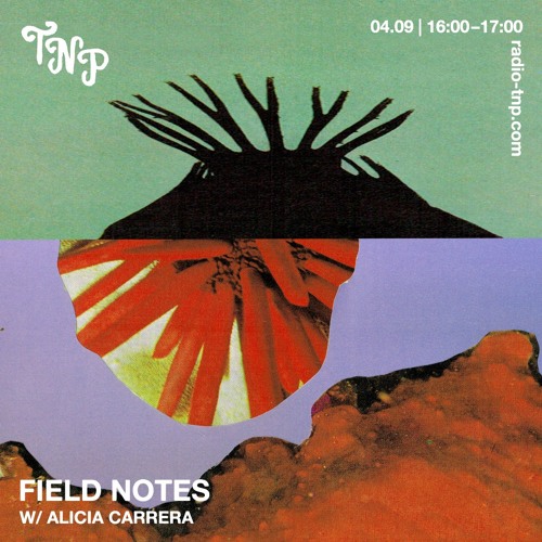 Field Notes w/ Alicia Carrera