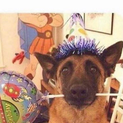 Happy Birthday to EcoRain