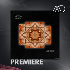 PREMIERE: Gorsky, AUTBOY - Amnesia (Extended Mix) [Polyptych Noir]