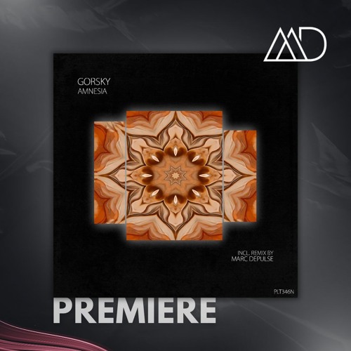 PREMIERE: Gorsky, AUTBOY - Amnesia (Extended Mix) [Polyptych Noir]