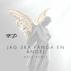 Jag Ska Fånga En Ängel - Ted Gärdestad (MELZ REMIX)