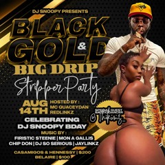 DJ SNOOPY BDAY BASH BLACK & GOLD VOL 11 PROMO MIX