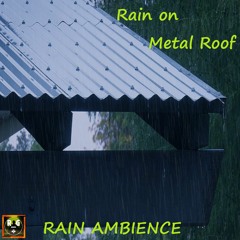 Rain Ambience: Light Rain On A Metal Roof
