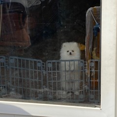 [JELLYBIRD Cover] 김승민 - 주유소 (Feat. DEREK, Skinny Brown)