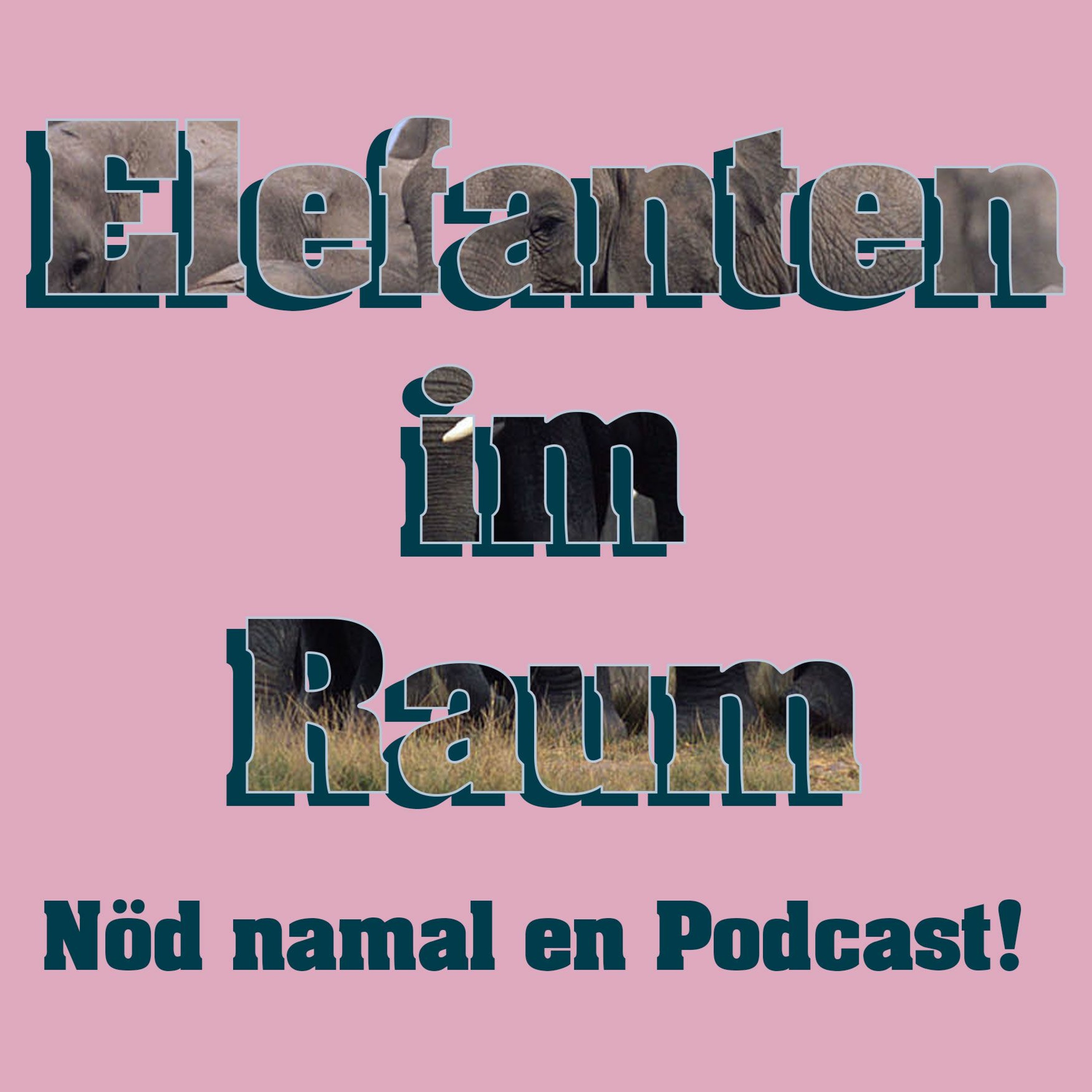 Elefanten im Raum