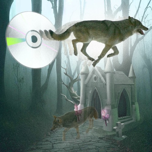 𝖑𝖔𝖇𝖎 𝖉𝖏 🐺🐺🐺 - Aleteo Paranormal (INTRO)
