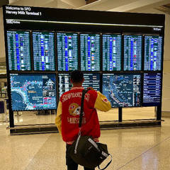 Flight's Delayed/Laps in the City