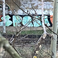 Sorex -time snip  4_2025