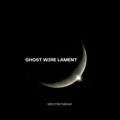 Pale Roses Drink My Tears