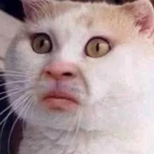 JiggyTony-Musty [Prod. Sid Kane]