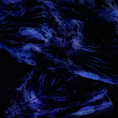 Nxt Lvl Charli - Remix Cover by mars