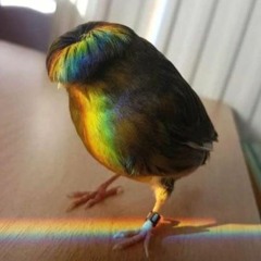 Alastxr X Elmx. BLEED ON THE FLOOR (Prod. DRMABeats)