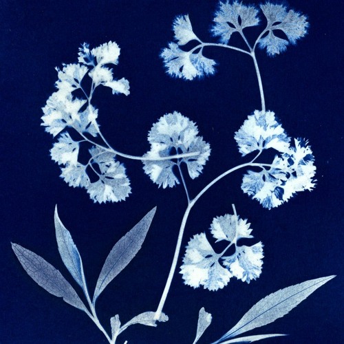 Michelle Gurevich - Dance While You Can (Herhangi/Edit)