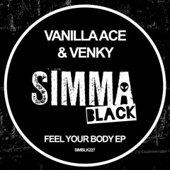 Vanilla Ace & Venky - Secret (Original Mix)