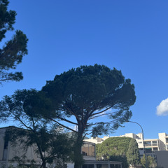 McBOX x DJ STYX 687 - My Life (ZOUK REMIX) 2K18