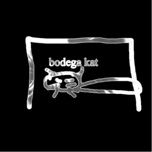 bodega kat - rapper weed (synth acoustic version)