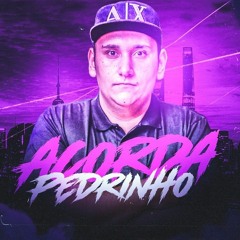 MEGA FUNK ACORDA PEDRINHO(DJ JULIANO SC)