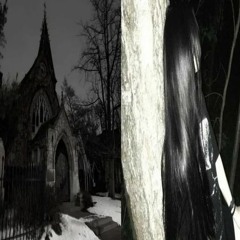 dysphoria w/ dissoc888