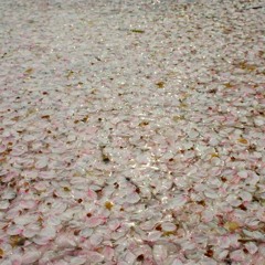 思