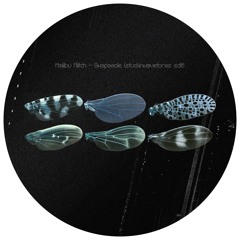 Maliibu Miitch - Gwapamole (stuckinwaveforms edit)