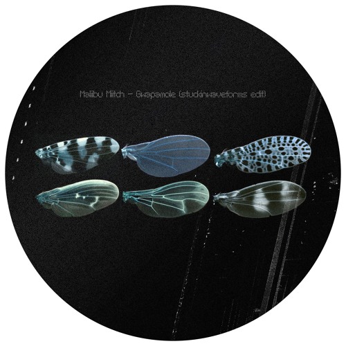 Maliibu Miitch - Gwapamole (stuckinwaveforms edit)