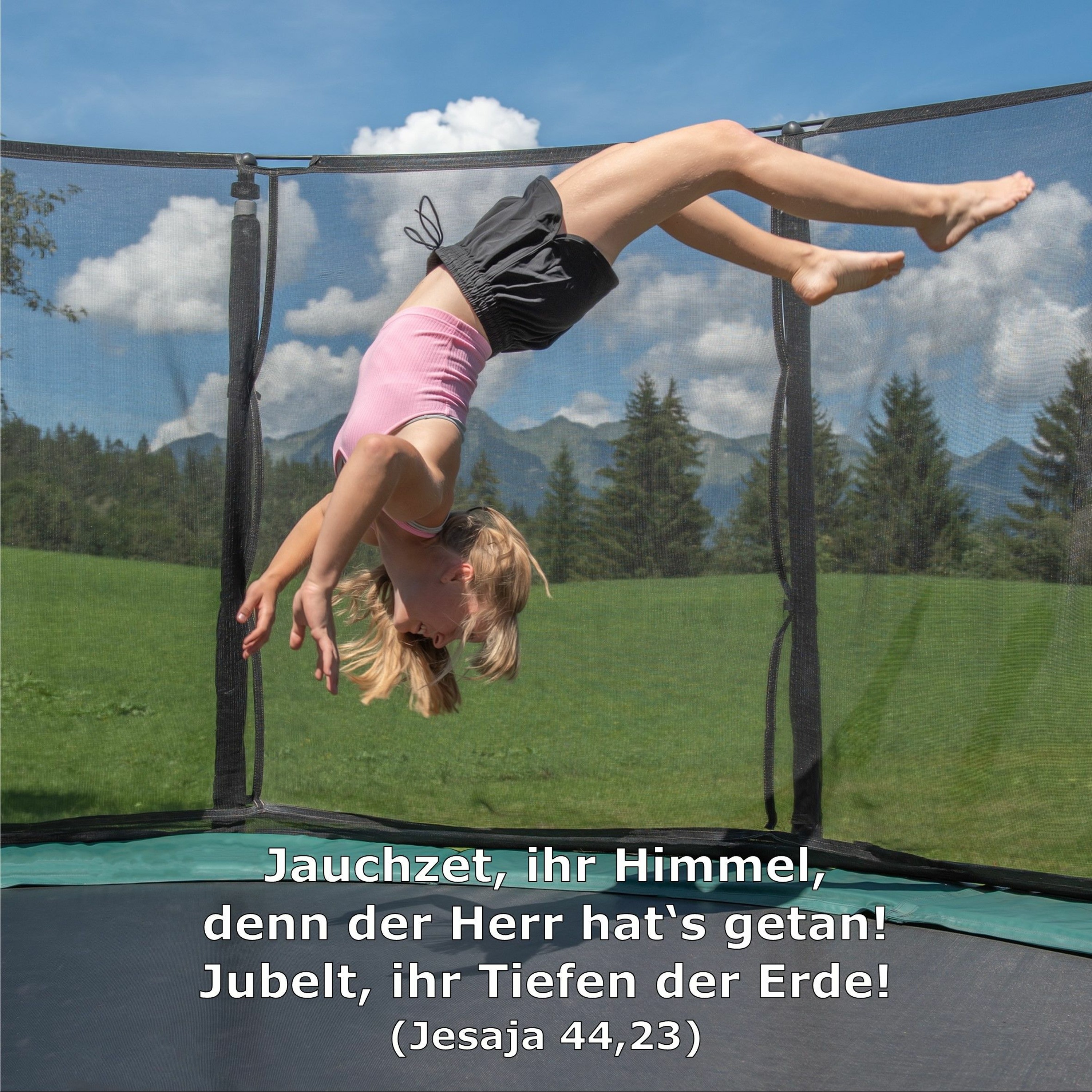 In einem Jahr durch die Bibel