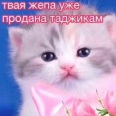 В этой песни ни одной запретки нет