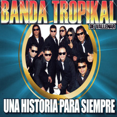 Olvidate de Mi / La Malagata