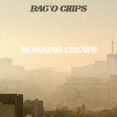 Morning Crows