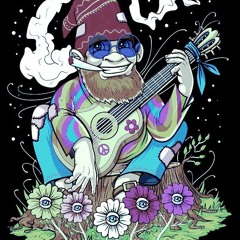 Tommy Hpf - Tekno gnomes