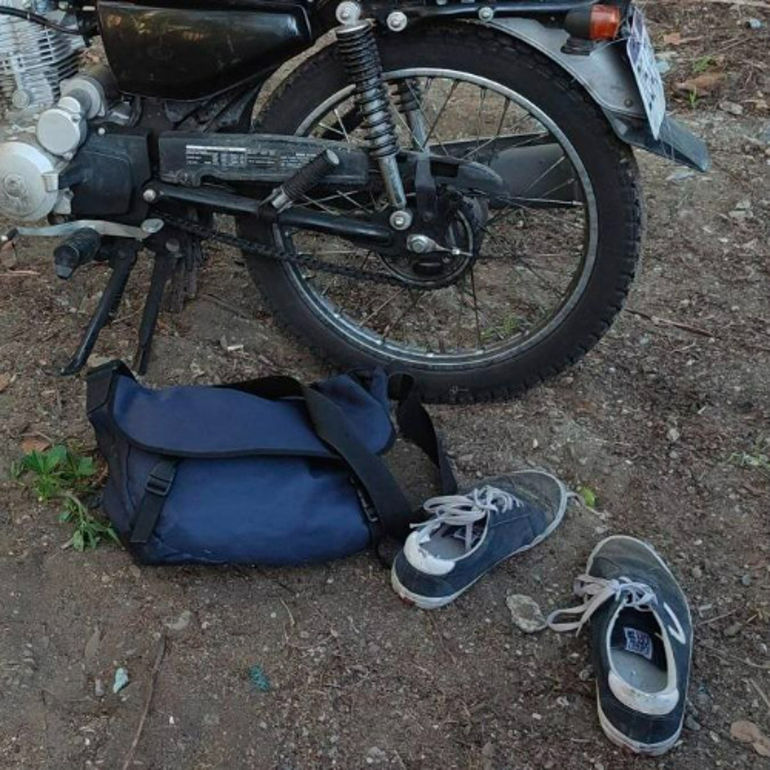 Stream they killed a dog before they get here by cangarden | Listen ...