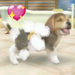Nintendogs
