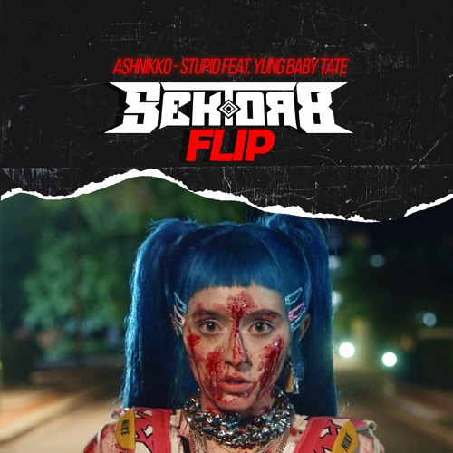 Ashnikko - STUPID Feat. Yung Baby Tate (SEKTOR 8 Flip)