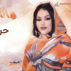 حرم النور - مالك علي