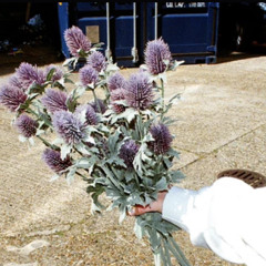 Effy - MAD (Dolce 97 Remix)