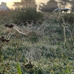 I’m chasing shadows