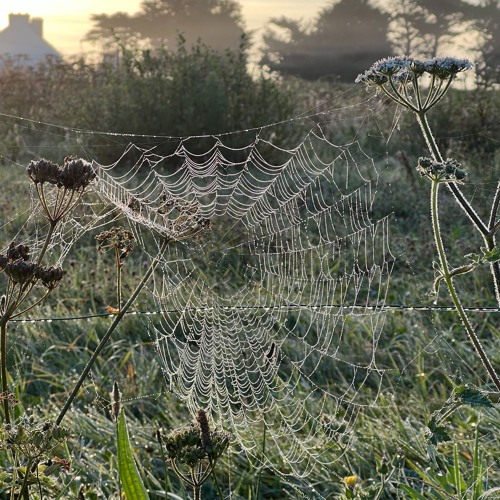 I’m chasing shadows