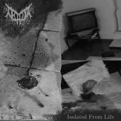 Defeated By Life - decalius