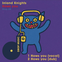 Hows you (vocal)