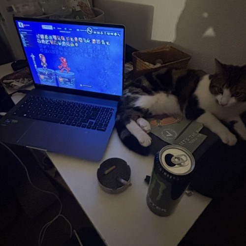 Selug prod Senar ( exclu live )