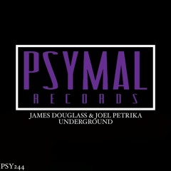 UNDERGROUND (James Douglass & Joel Petrika Original Mix) Read Description for remix stems!