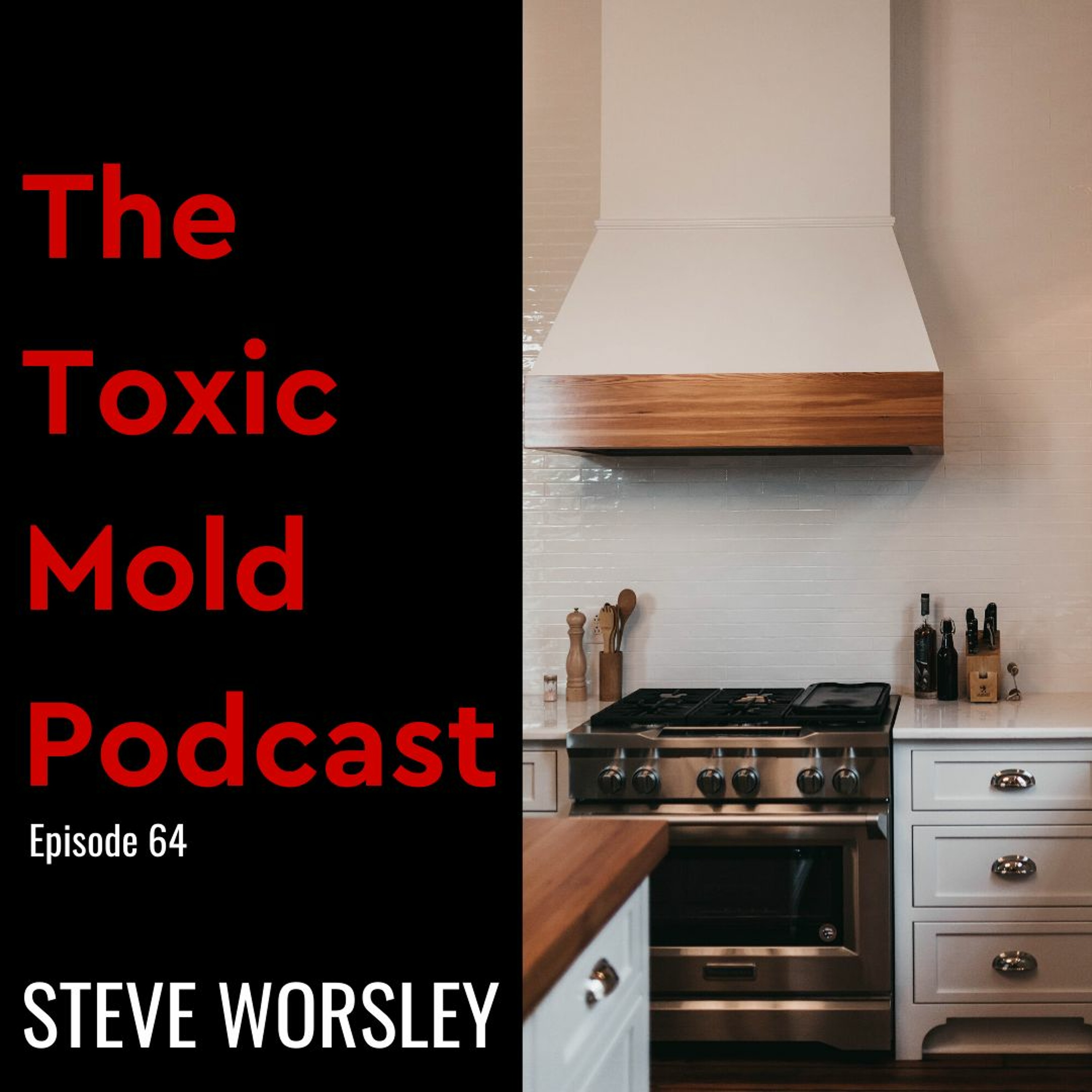 The Toxic Mold Podcast