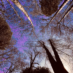 SUNDAY MORNING @ REYES CREEK