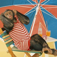 monkeysession n.7 mono al sol