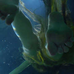 ушко - траектория ( пранч bootleg )