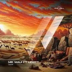 MrMAUI-Rakatra