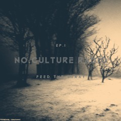 no.culture radio ep.1 - FEED THE STRAY