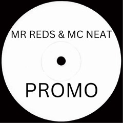 "Red Samurai" - mixed & produced by MR REDS - feat. MC Neat