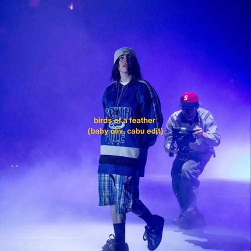 Billie Eilish - Birds Of A Feather (Baby Oliv, Cabu Edit)
